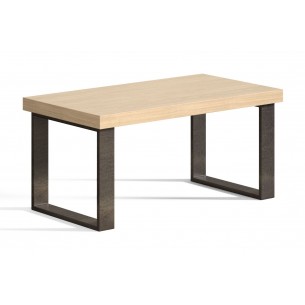 MESA CENTRO FIJA 2006