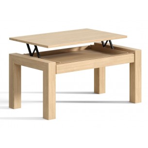 Mesa Centro Elevable 1010